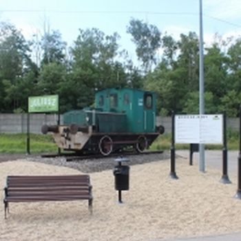 Ekososna z Ekostacji. Wymień surowce na sadzonki sosny.