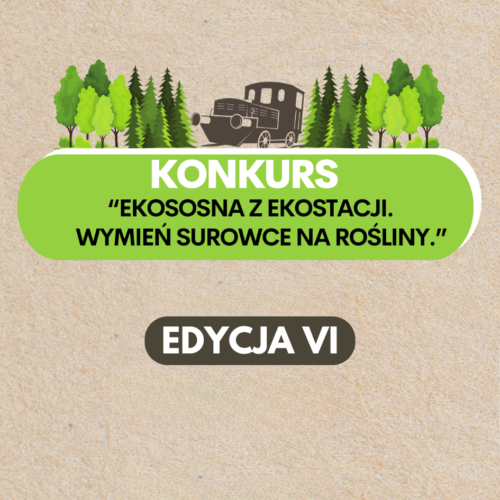 Wyniki Konkursu „Ekososna z Ekostacji. Wymień surowce na rośliny”!